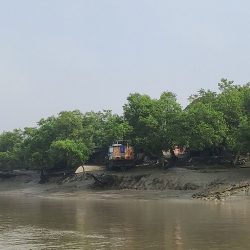 Amphibious Living Opportunities: ALO for the Sundarbans